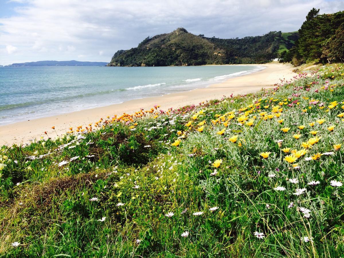 Taigh Na Mara Bed And Breakfast Whitianga Exteriör bild