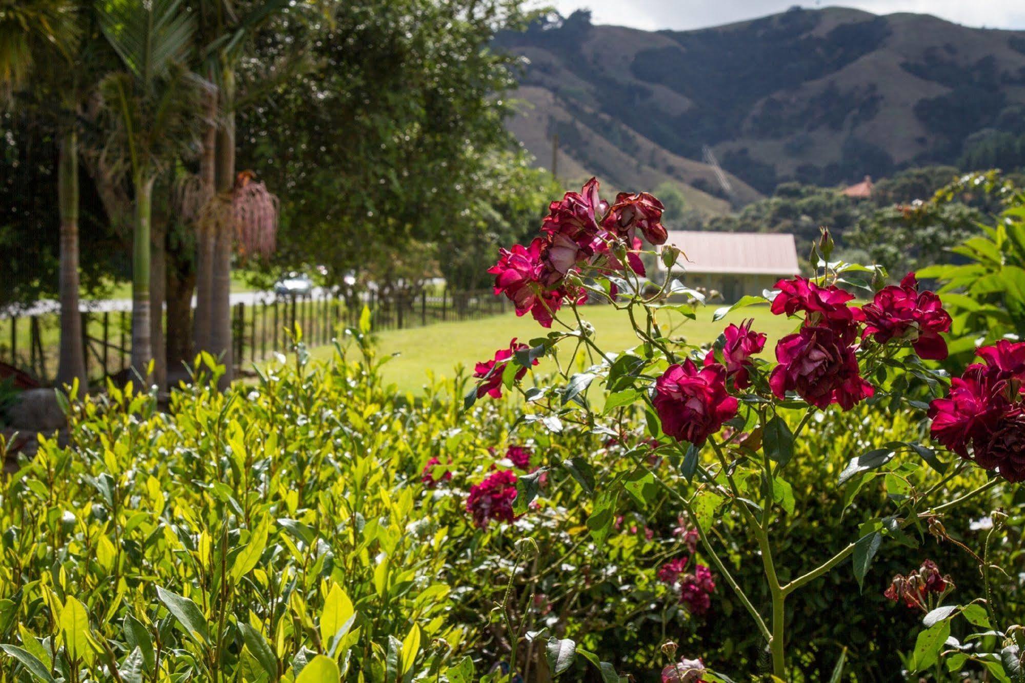 Taigh Na Mara Bed And Breakfast Whitianga Exteriör bild